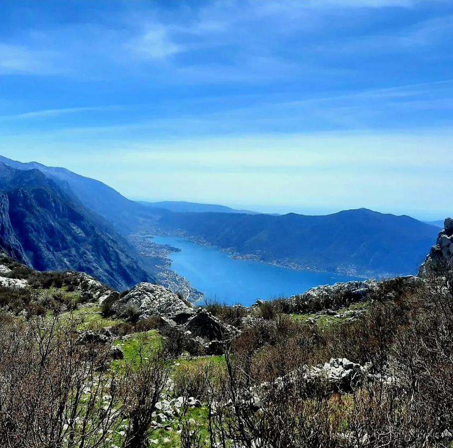 Apartments Pejanovic Kotor Luaran gambar
